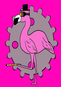 picture of flamingo